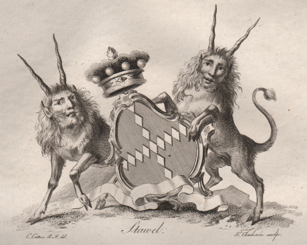 STAWEL. Coat of Arms. Heraldry 1790 old antique vintage print picture